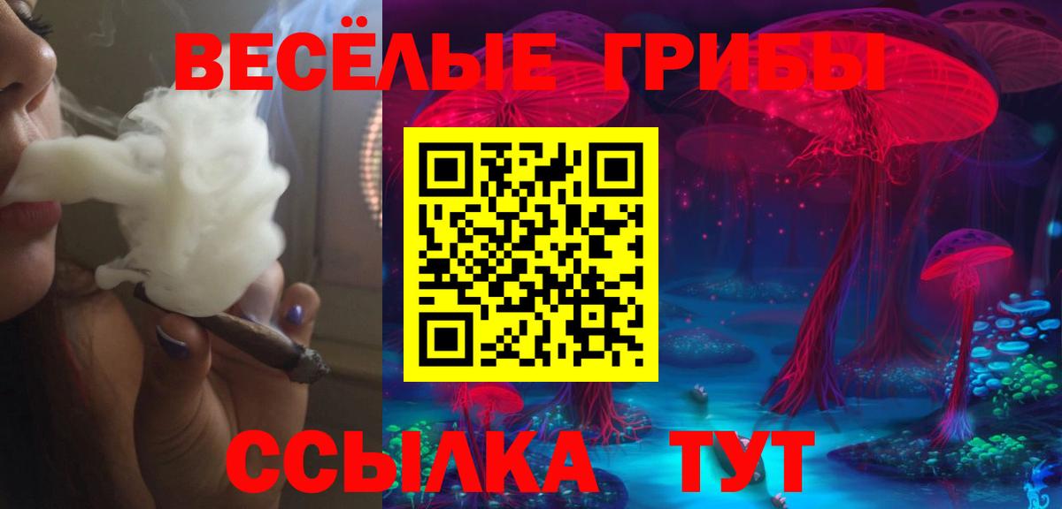 Спасск-Дальний  купить наркотик  Вход с VPN  Галлюциногенные грибы Magic Shrooms 
